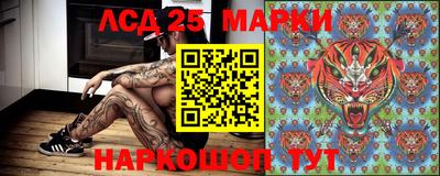 спайс Малгобек