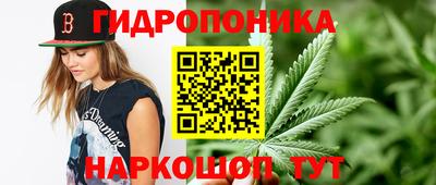 спайс Малгобек