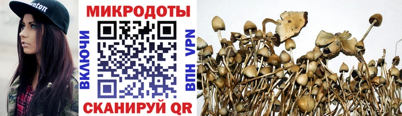 магазин продажи   МЕГА сайт  Псилоцибиновые грибы Psilocybine cubensis  Саранск 